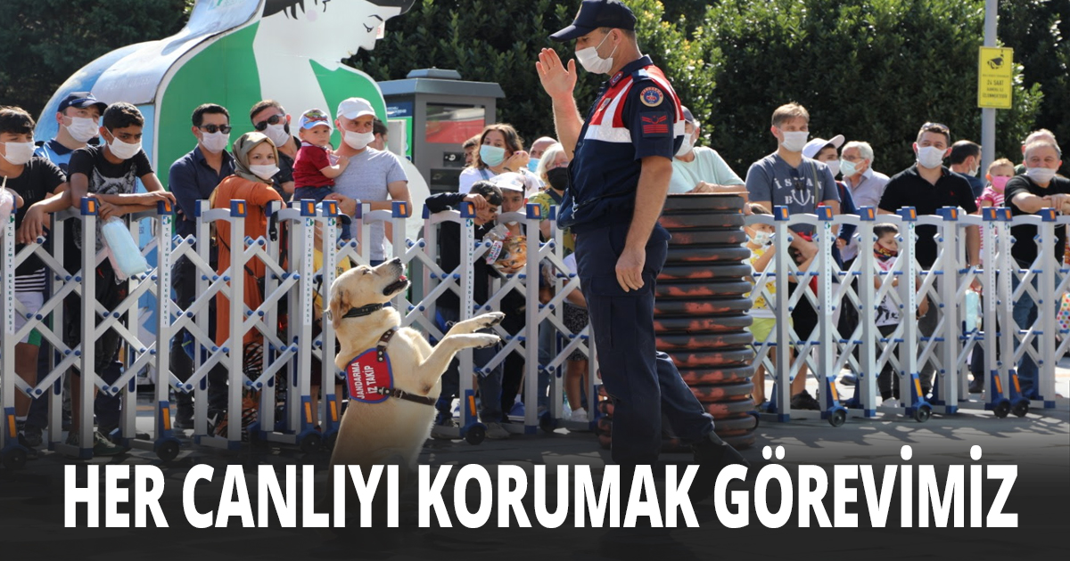 Kahraman Dostlarımızın gösterisi büyüledi