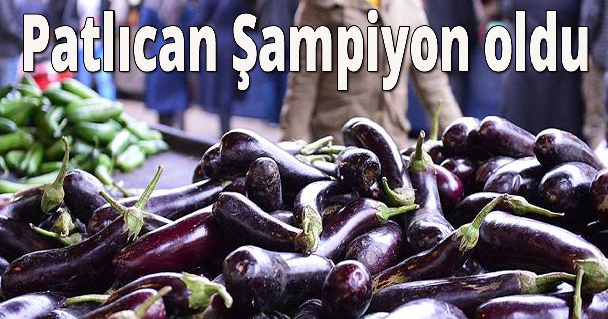 Patlıcan şampiyon oldu