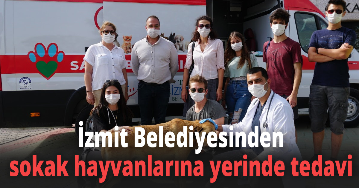 İzmit Belediyesinden sokak hayvanlarına yerinde tedavi