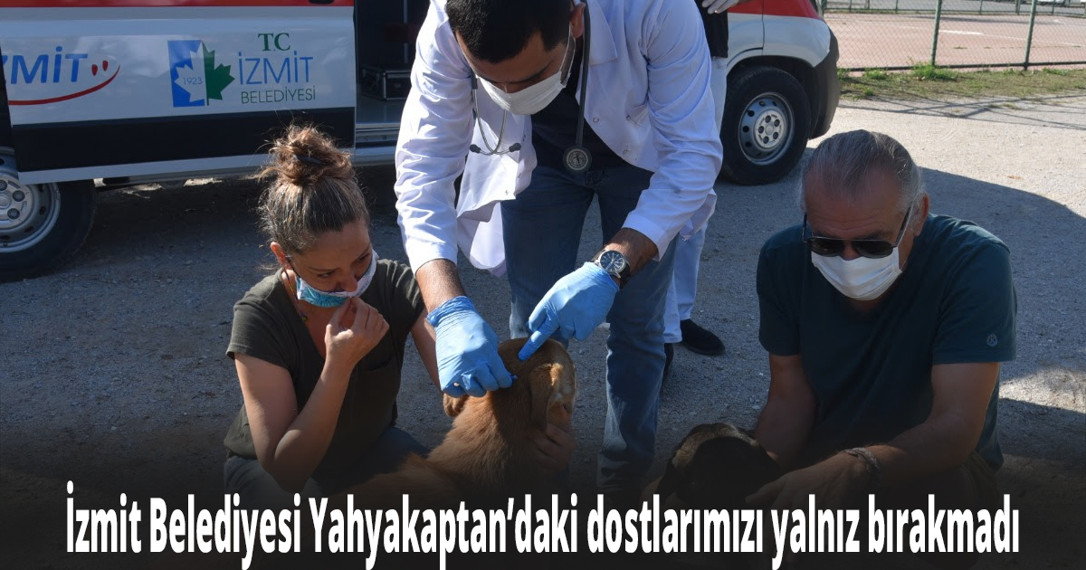 İzmit Belediyesi Yahyakaptan’daki dostlarımızı yalnız bırakmadı 