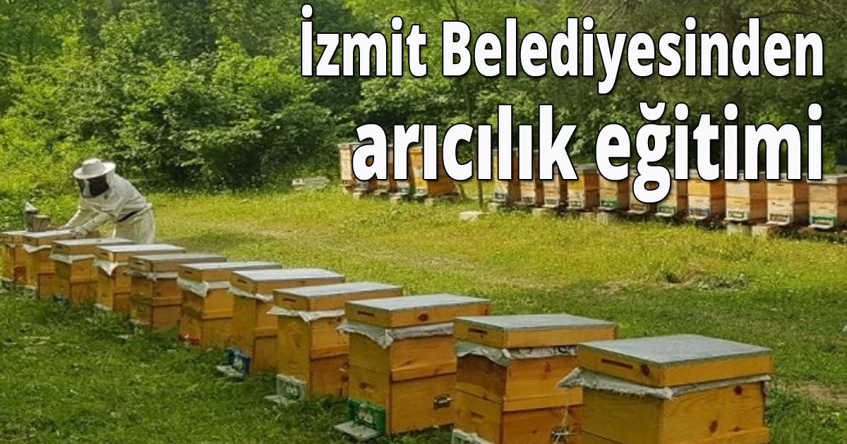 İzmit Belediyesinden arıcılık eğitimi