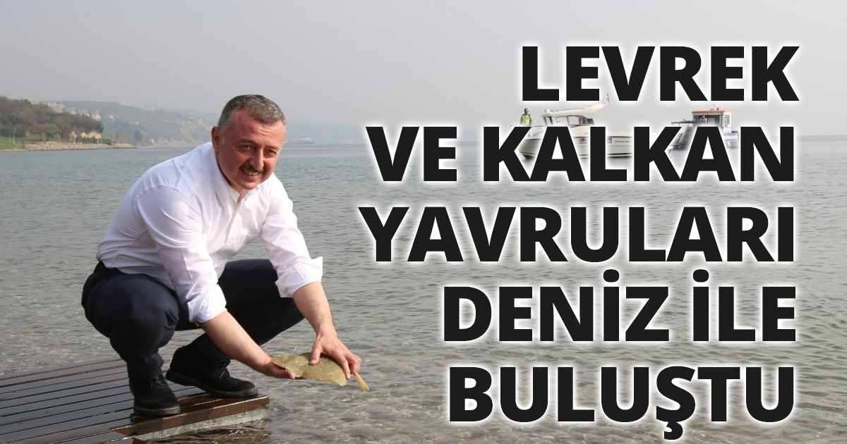 Balıklar bu kez Darıca sahilinden denize salındı