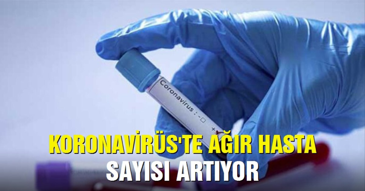 24 Ekim korona tablosu