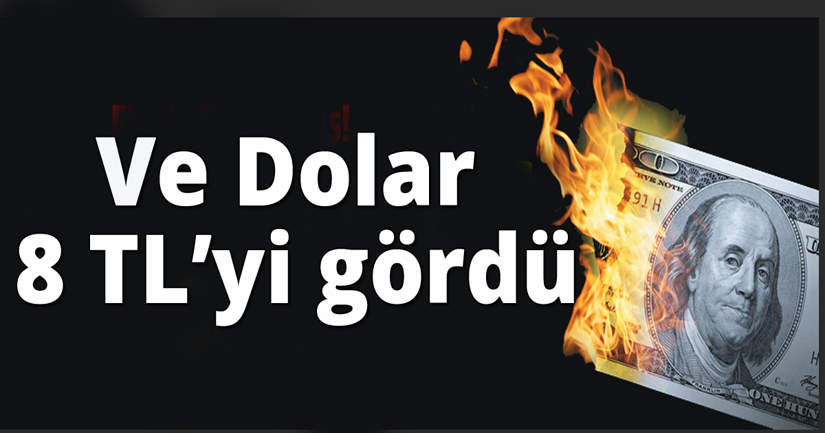 Dolar 8 TL'yi geçti
