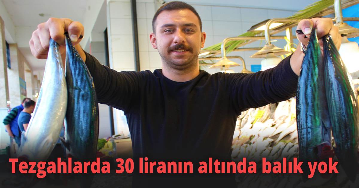 Palamuttaki bolluğun bitmesi, fiyatı ikiye katladı 