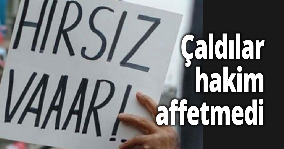 9 hırsız tutuklandı