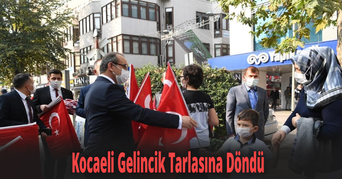 Ay Yıldızlı Al Bayrağımızla Kocaeli Gelincik Tarlasına Döndü