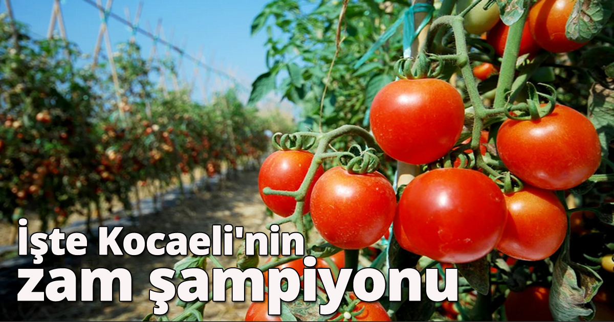 İşte Kocaeli'nin  zam şampiyonu 