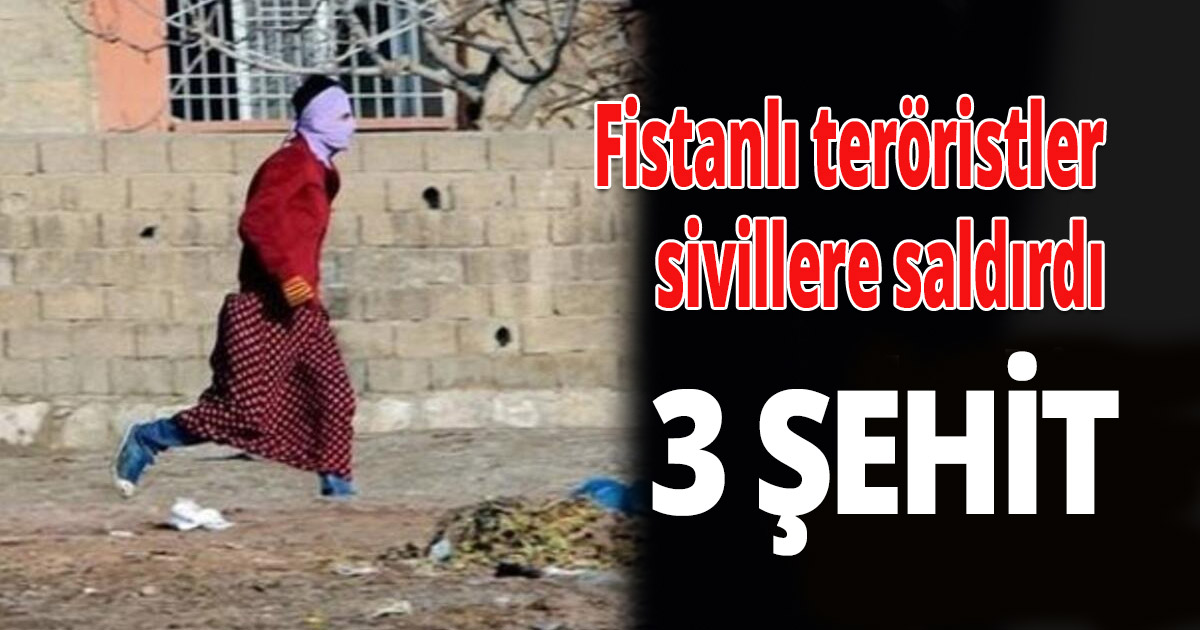 Hakkari Derecik'te hain saldırı 