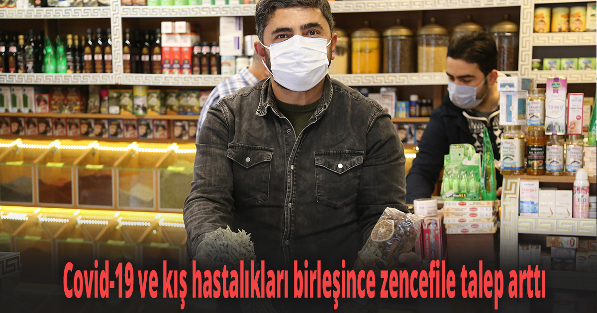 Covid-19 ve kış hastalıkları birleşince zencefile talep arttı