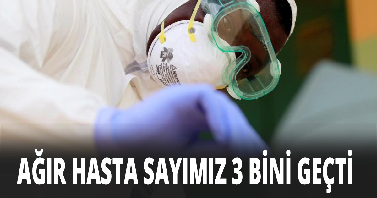 10 Kasım Türkiye koronavirüs tablosu!