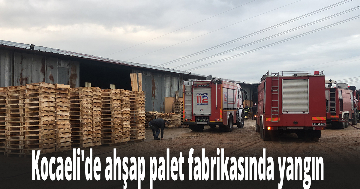 Kocaeli'de ahşap palet fabrikasında yangın