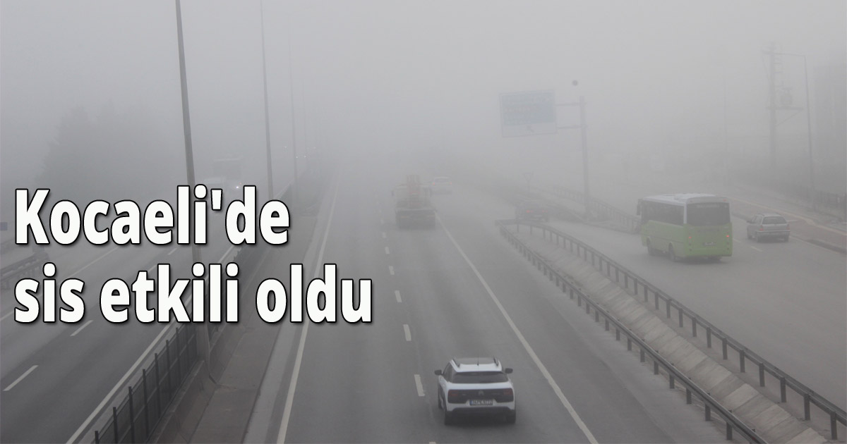 Kocaeli'de sis etkili oldu