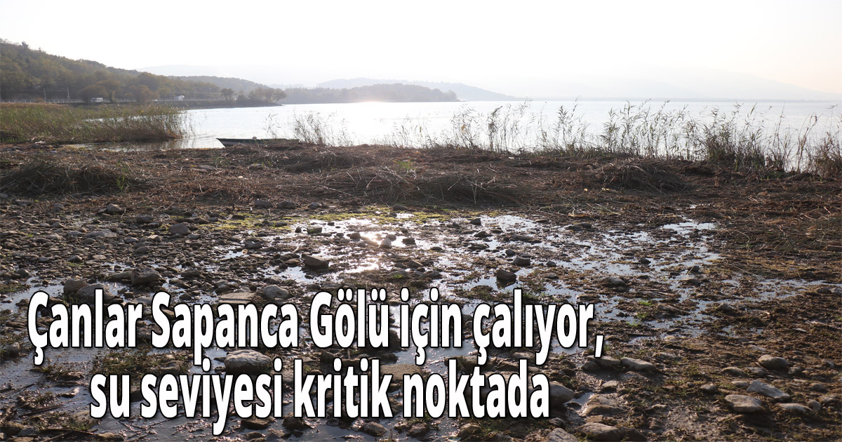 Çanlar Sapanca Gölü için çalıyor, su seviyesi kritik noktada