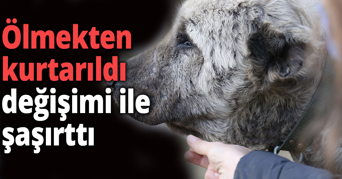 Ölmekten kurtarıldı  değişimi ile şaşırttı