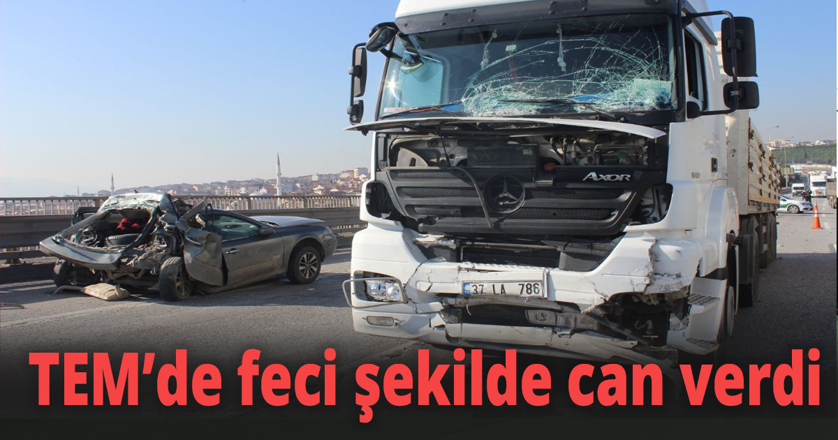 TEM’de feci şekilde can verdi