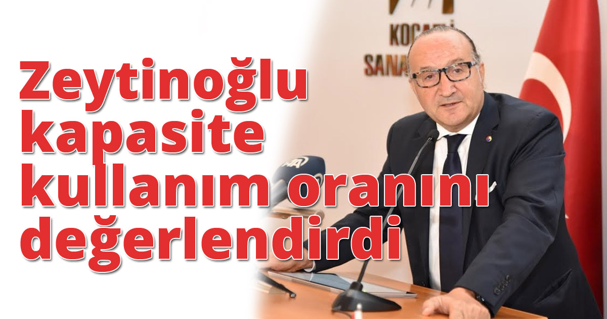 Zeytinoğlu kapasite kullanım oranını değerlendirdi