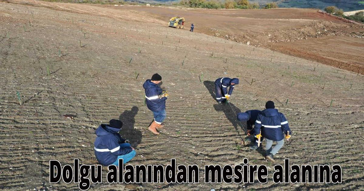 Dolgu alanından mesire alanına