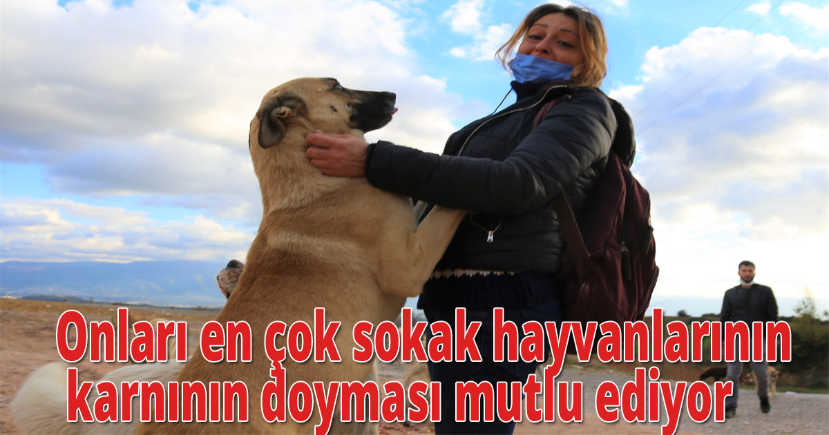 Onları en çok sokak hayvanlarının karnının doyması mutlu ediyor