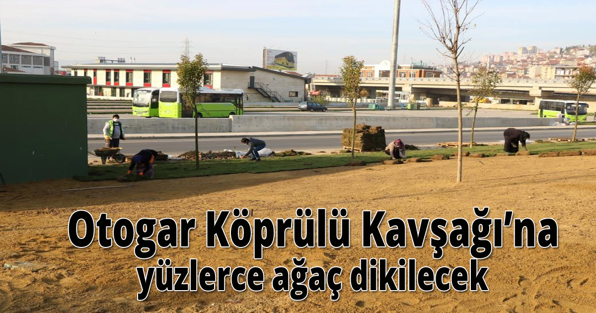  Otogar Köprülü Kavşağı’na yüzlerce ağaç dikilecek