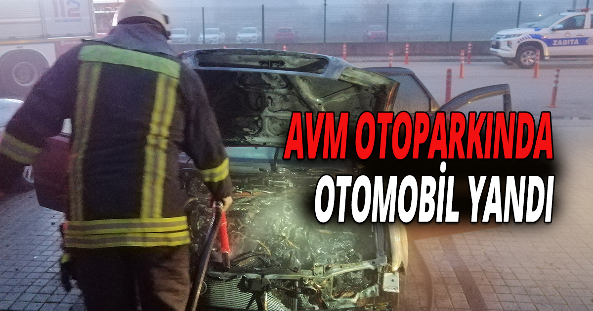  Park halindeki otomobil alevlere teslim oldu