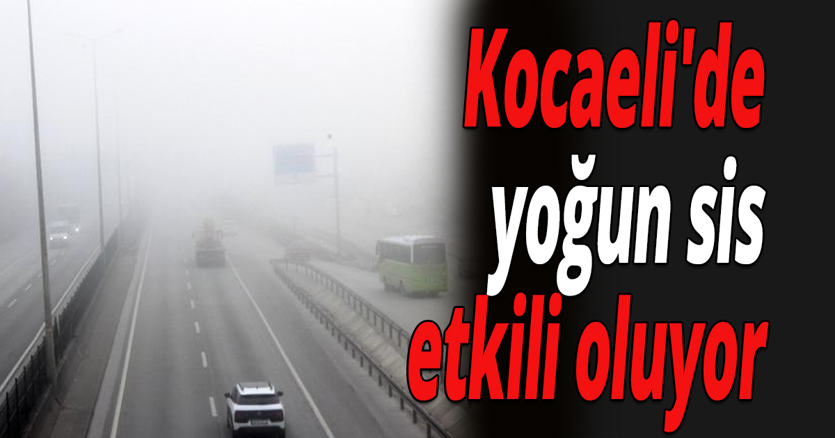 Kocaeli'de yoğun sis etkili oluyor