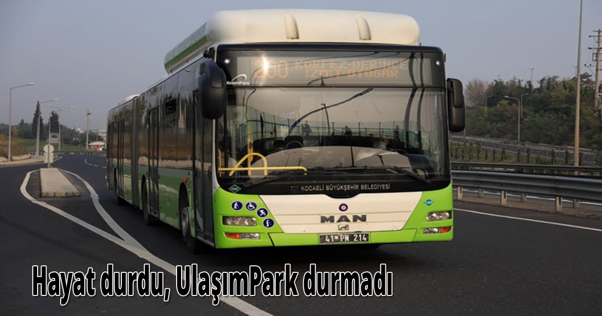 Hayat durdu, UlaşımPark durmadı