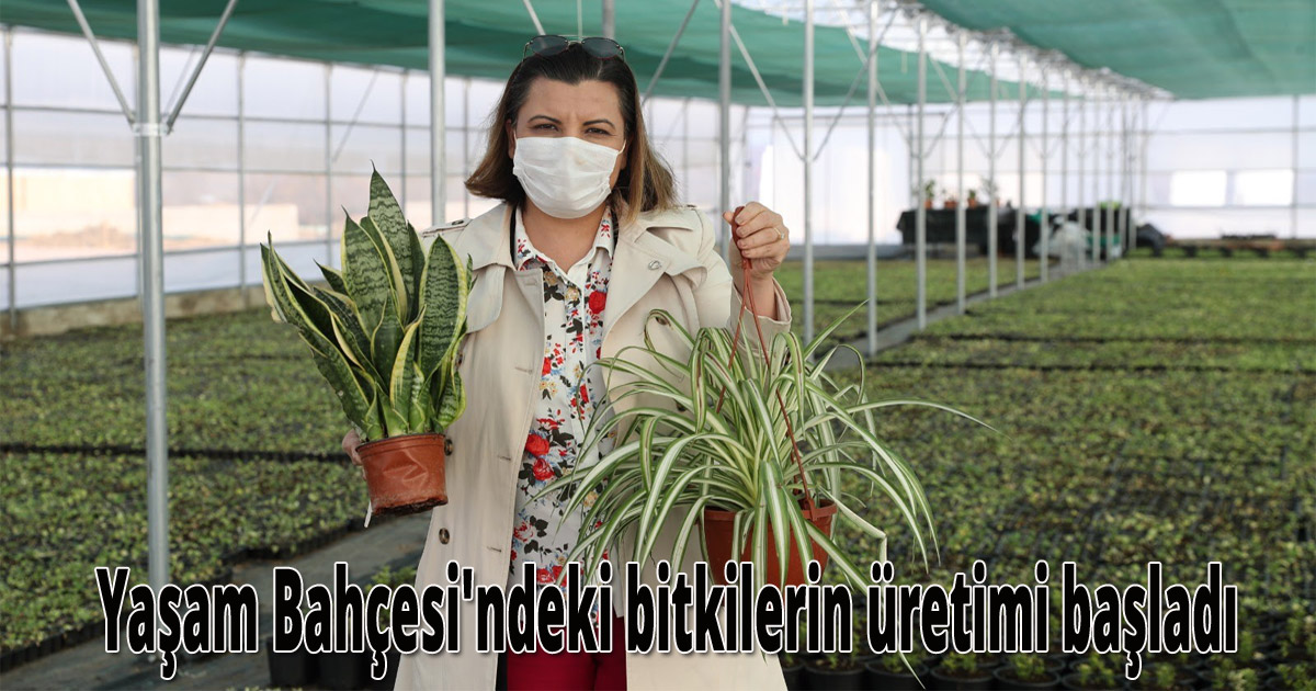 Yaşam Bahçesi'ndeki bitkilerin üretimi başladı