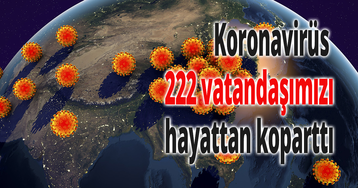 12 Aralık Türkiye'de koronavirüste son durum