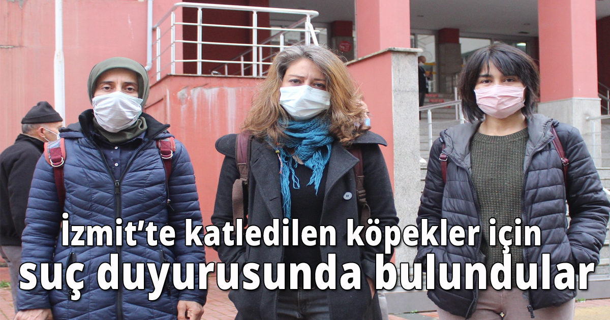 İzmit’te katledilen köpekler için suç duyurusunda bulundular