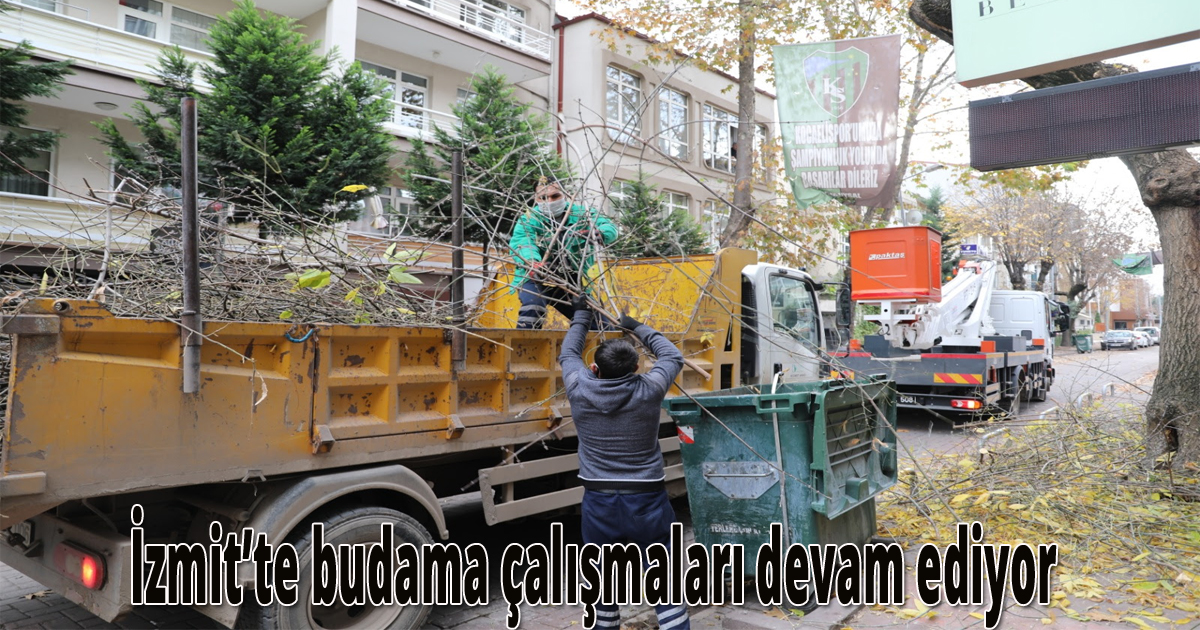  İzmit’te budama çalışmaları devam ediyor