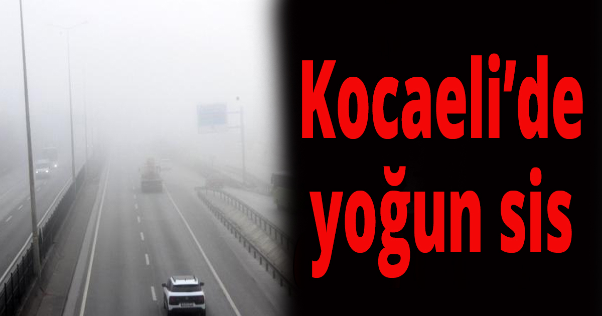 Kocaeli’de yoğun sis
