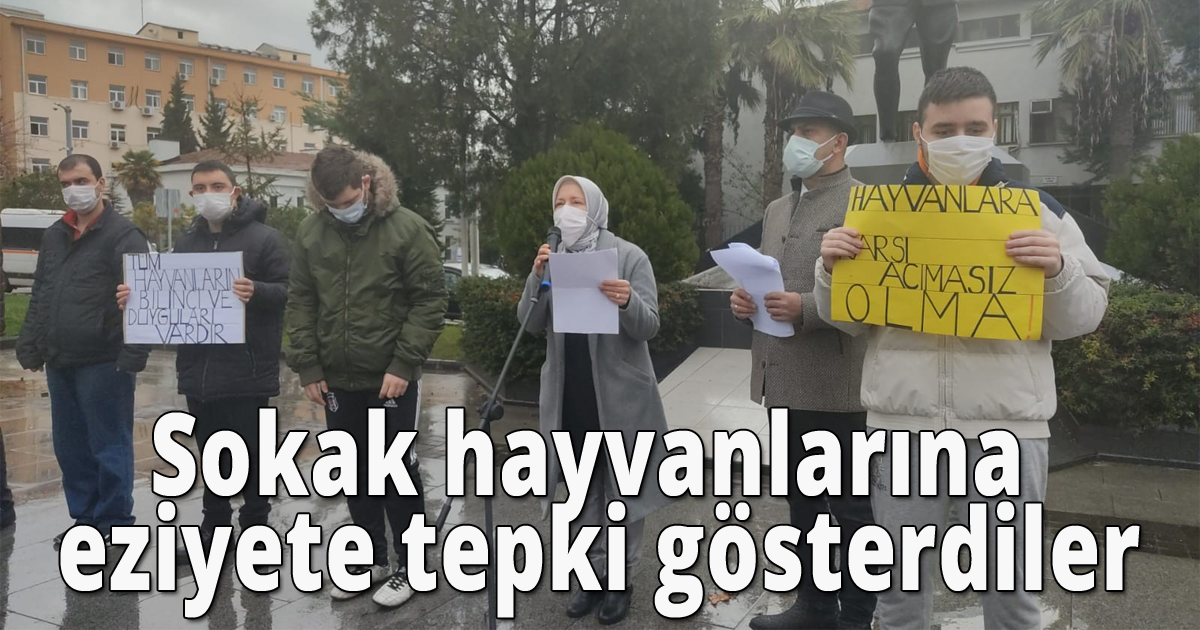 Sokak hayvanlarına eziyete tepki gösterdiler