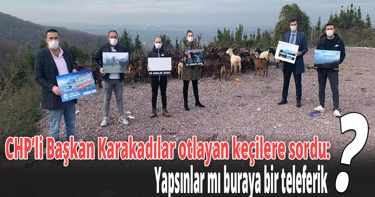 CHP’li Başkan Karakadılar otlayan keçilere sordu: