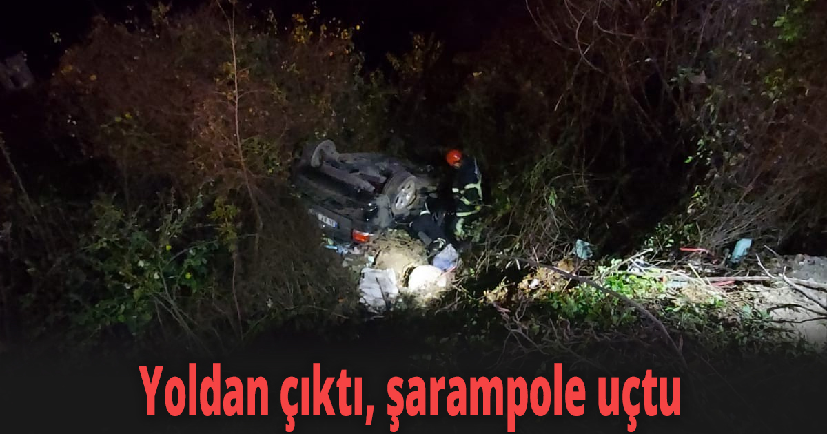 Yoldan çıktı, şarampole uçtu 
