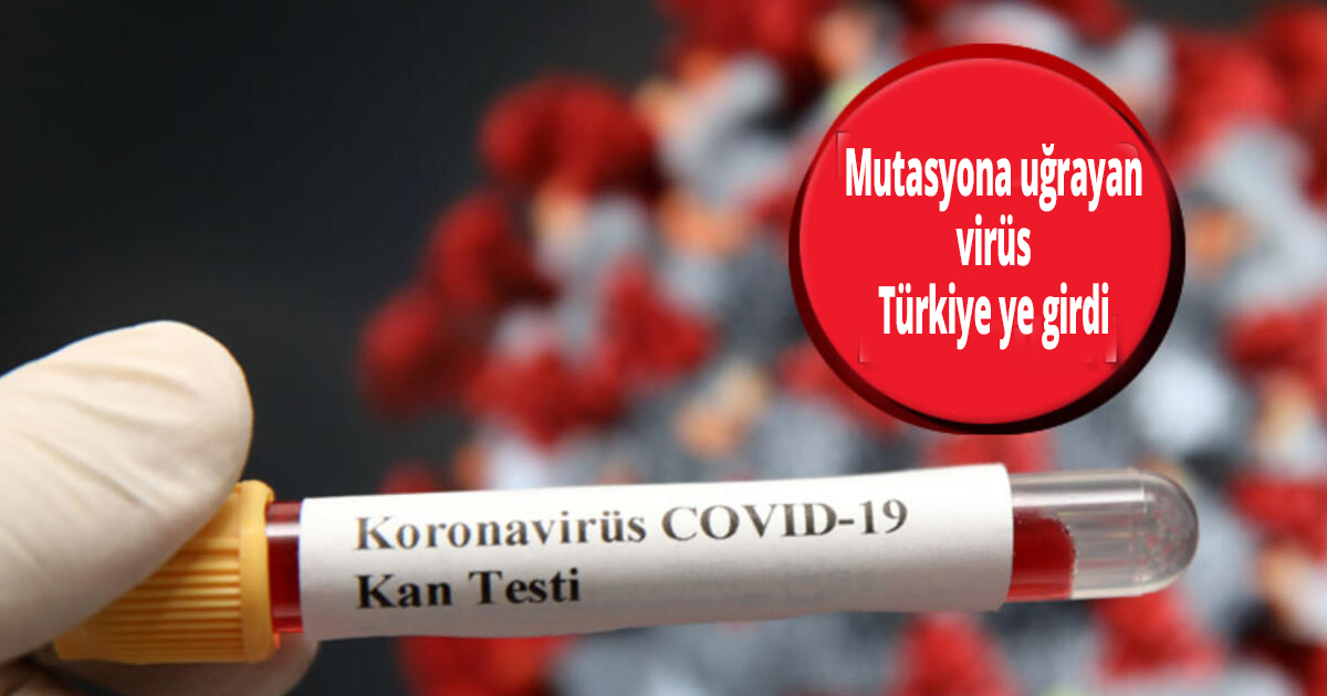 Covit belası bitmeden yenisi geldi