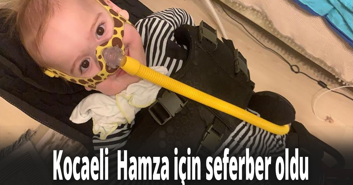 Kocaeli  Hamza için seferber oldu