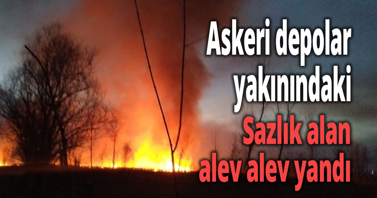 Sazlık alan alev alev yandı