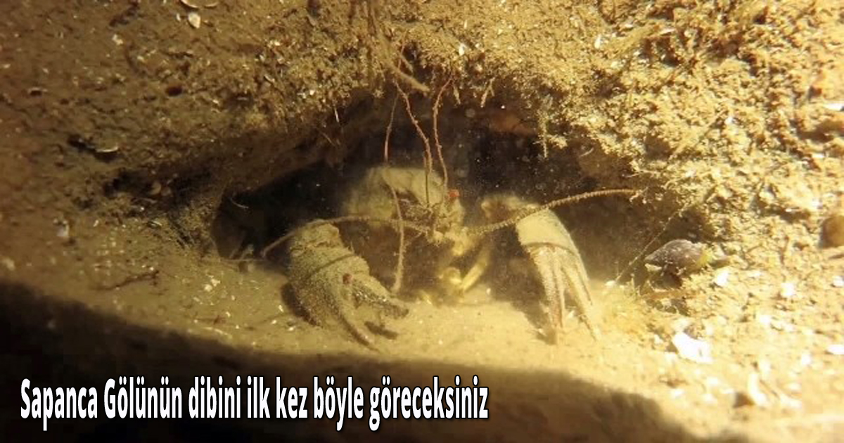 Sapanca Gölünün dibini ilk kez böyle göreceksiniz