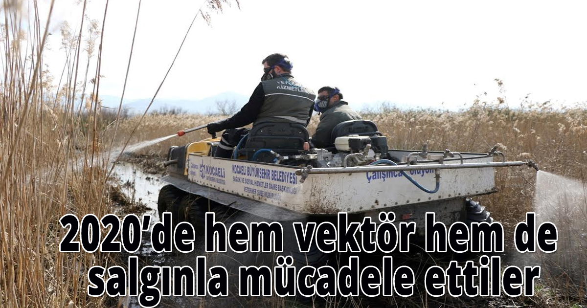 2020’de hem vektör hem de salgınla mücadele ettiler