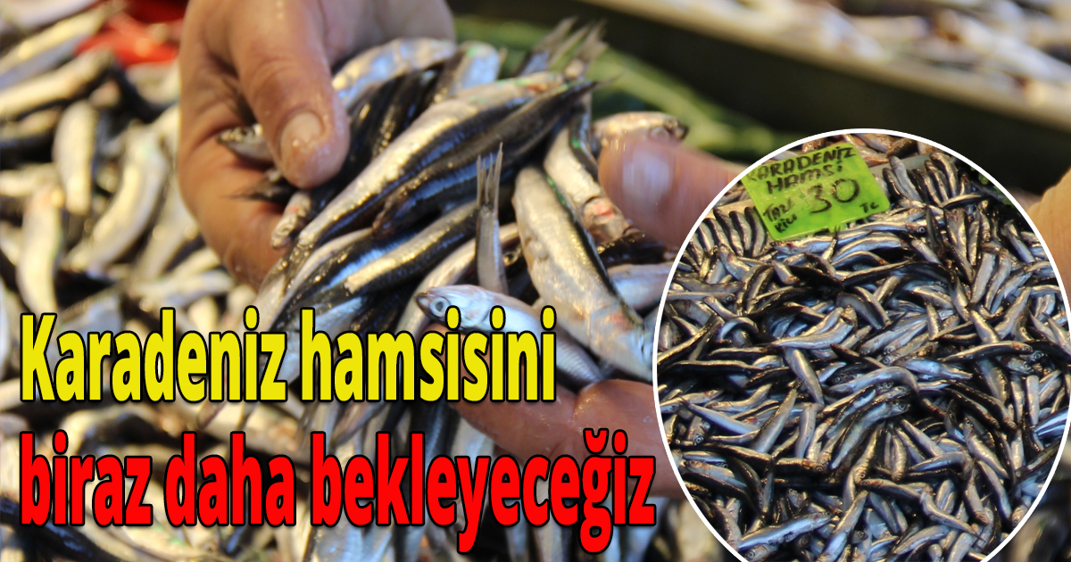 Karadeniz hamsisini biraz daha bekleyeceğiz