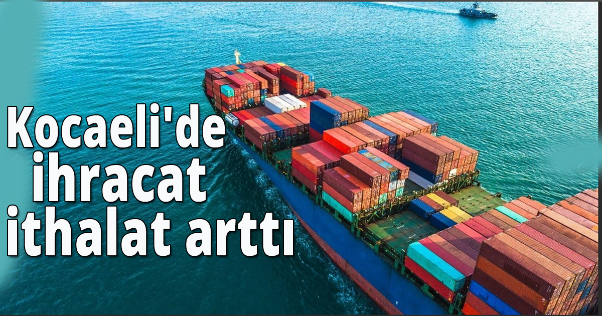 Kocaeli'de  ihracat ve ithalat arttı