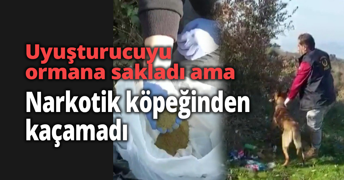 Zehir tacirlerinin ormana sakladığı uyuşturucuları polis buldu