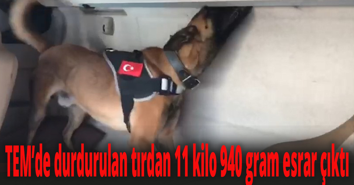 TEM’de durdurulan tırdan 11 kilo 940 gram esrar çıktı