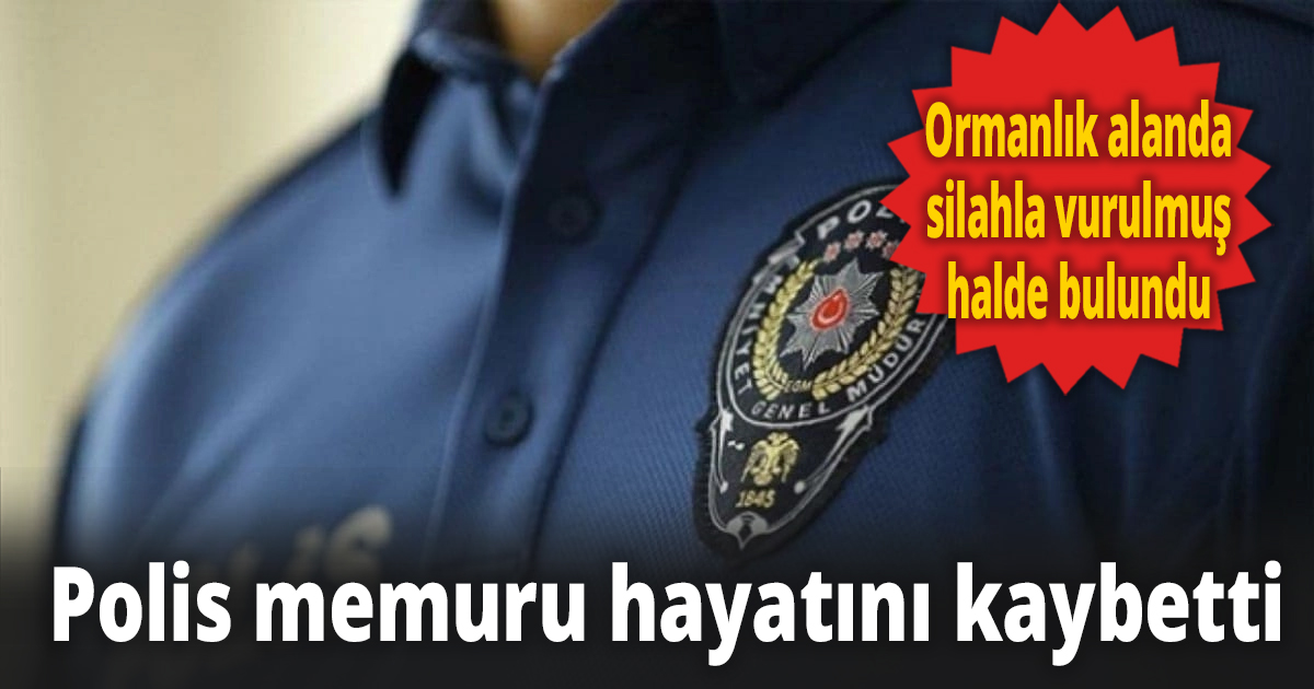 Ormanlık alanda silahla vurulmuş halde bulundu