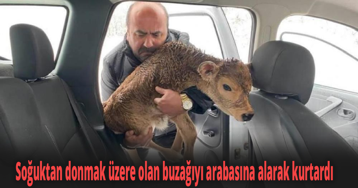 Sahibi öldü sandı