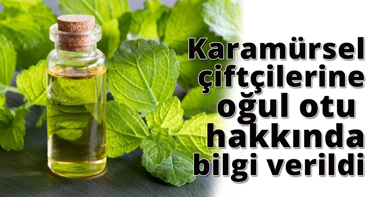 Karamürsel çiftçilerine oğul otu hakkında bilgi verildi