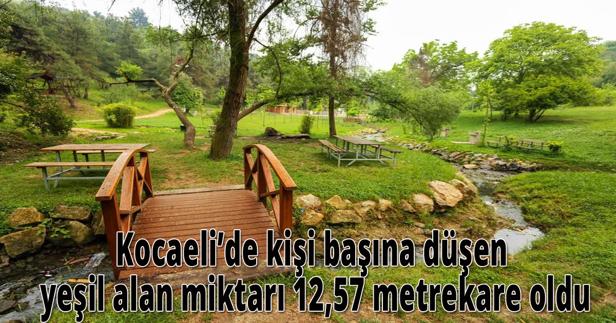 Kocaeli’de kişi başına düşen yeşil alan miktarı 12,57 metrekare oldu