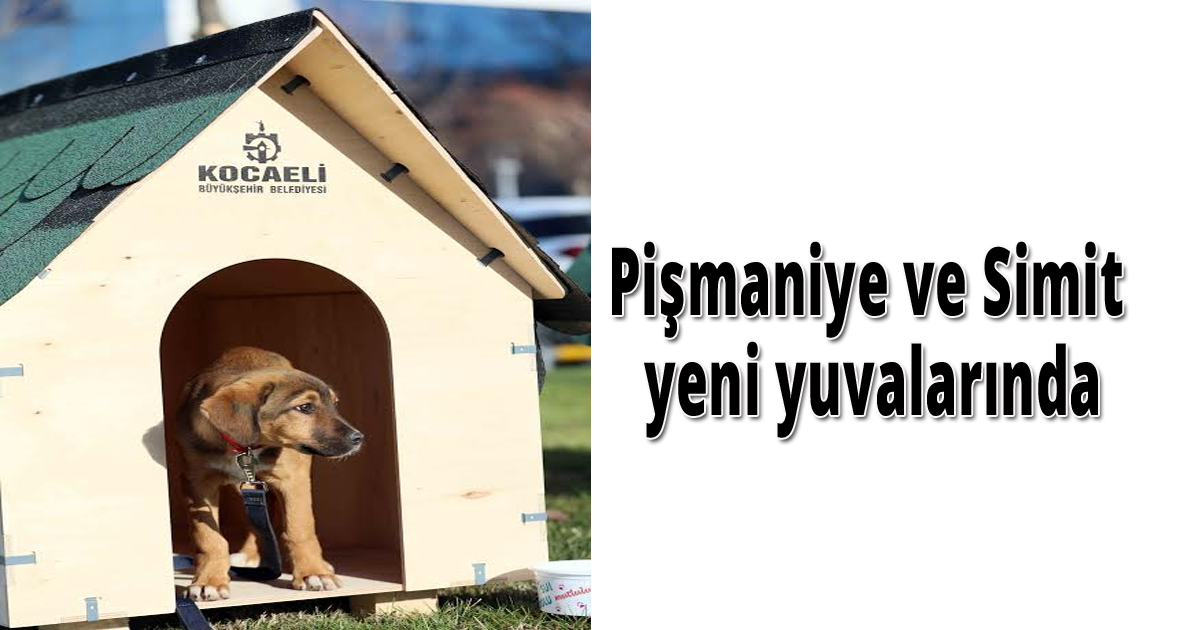Pişmaniye ve Simit yeni yuvalarında