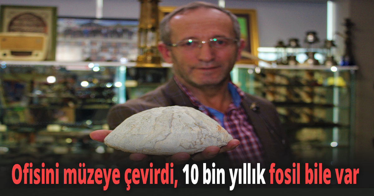 Ofisini müzeye çevirdi, 10 bin yıllık fosil bile var